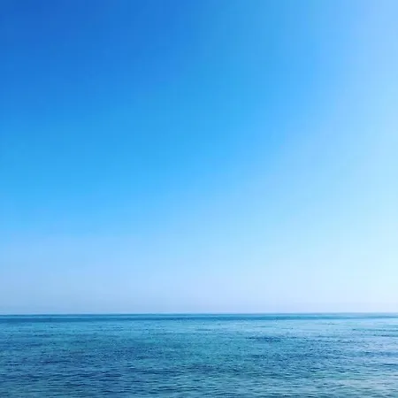 Marina 토레 키안카